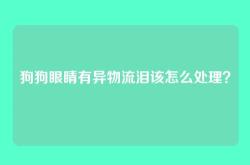 狗狗眼睛有异物流泪该怎么处理？