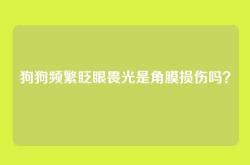 狗狗频繁眨眼畏光是角膜损伤吗？