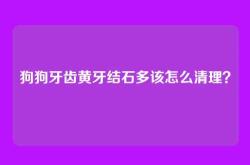 狗狗牙齿黄牙结石多该怎么清理？