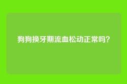 狗狗换牙期流血松动正常吗？