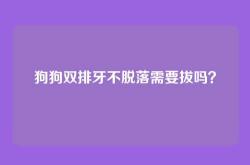 狗狗双排牙不脱落需要拔吗？