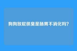 狗狗放屁很臭是肠胃不消化吗？