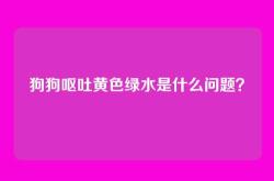 狗狗呕吐黄色绿水是什么问题？