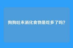 狗狗吐未消化食物是吃多了吗？