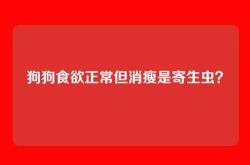 狗狗食欲正常但消瘦是寄生虫？