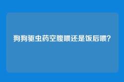 狗狗驱虫药空腹喂还是饭后喂？