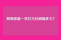 狗狗疫苗一共打几针间隔多久？