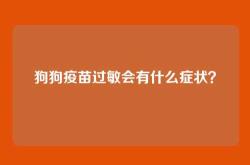 狗狗疫苗过敏会有什么症状？