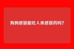 狗狗感冒能吃人类感冒药吗？