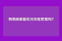 狗狗咳嗽能吃川贝枇杷膏吗？