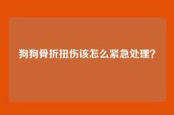 狗狗骨折扭伤该怎么紧急处理？