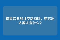 狗喜欢参加社交活动吗，带它出去要注意什么？