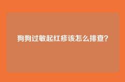 狗狗过敏起红疹该怎么排查？