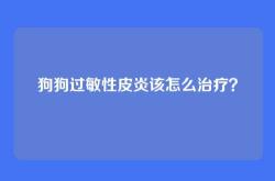 狗狗过敏性皮炎该怎么治疗？