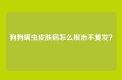 狗狗螨虫皮肤病怎么根治不复发？