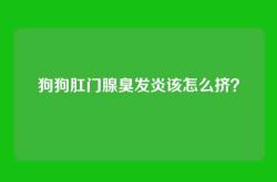 狗狗肛门腺臭发炎该怎么挤？