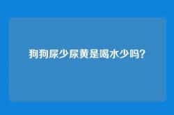 狗狗尿少尿黄是喝水少吗？