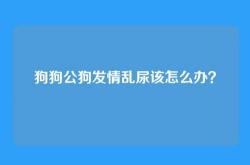 狗狗公狗发情乱尿该怎么办？
