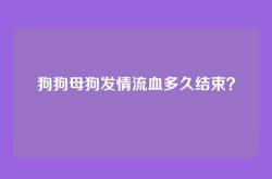 狗狗母狗发情流血多久结束？