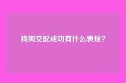 狗狗交配成功有什么表现？