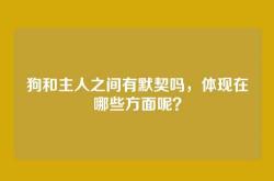 狗和主人之间有默契吗，体现在哪些方面呢？