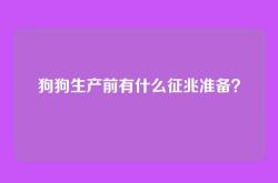 狗狗生产前有什么征兆准备？