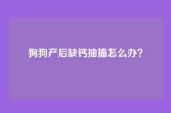 狗狗产后缺钙抽搐怎么办？