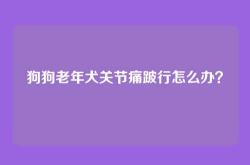 狗狗老年犬关节痛跛行怎么办？