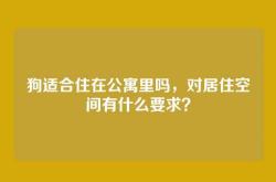 狗适合住在公寓里吗，对居住空间有什么要求？