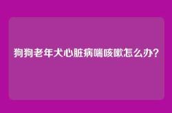 狗狗老年犬心脏病喘咳嗽怎么办？