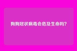 狗狗冠状病毒会危及生命吗？