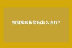 狗狗窝咳传染吗怎么治疗？