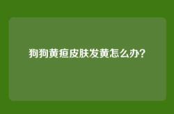 狗狗黄疸皮肤发黄怎么办？