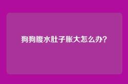狗狗腹水肚子胀大怎么办？