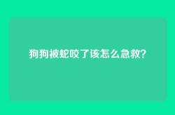 狗狗被蛇咬了该怎么急救？