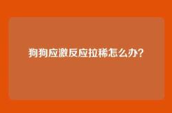 狗狗应激反应拉稀怎么办？