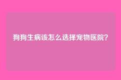 狗狗生病该怎么选择宠物医院？