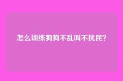 怎么训练狗狗不乱叫不扰民？