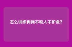 怎么训练狗狗不咬人不护食？