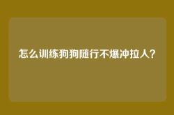 怎么训练狗狗随行不爆冲拉人？