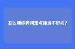 怎么训练狗狗定点睡觉不吵闹？