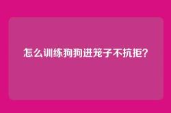 怎么训练狗狗进笼子不抗拒？