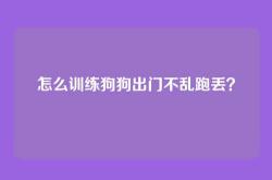 怎么训练狗狗出门不乱跑丢？