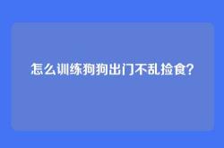 怎么训练狗狗出门不乱捡食？