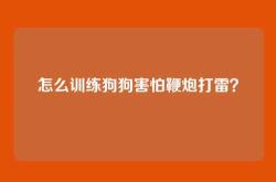 怎么训练狗狗害怕鞭炮打雷？