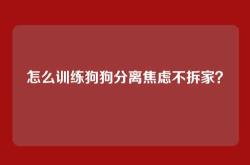 怎么训练狗狗分离焦虑不拆家？