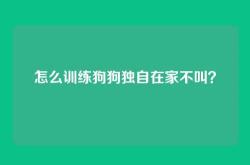 怎么训练狗狗独自在家不叫？
