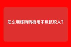 怎么训练狗狗梳毛不反抗咬人？
