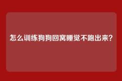 怎么训练狗狗回窝睡觉不跑出来？