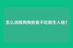 怎么训练狗狗拒食不吃陌生人给？
